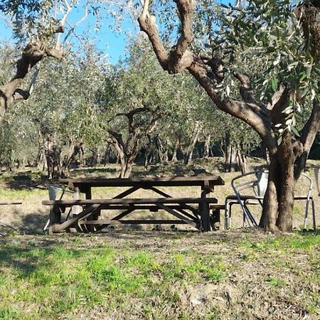 Agriturismo Cele Celle Ligure Kültér fotó