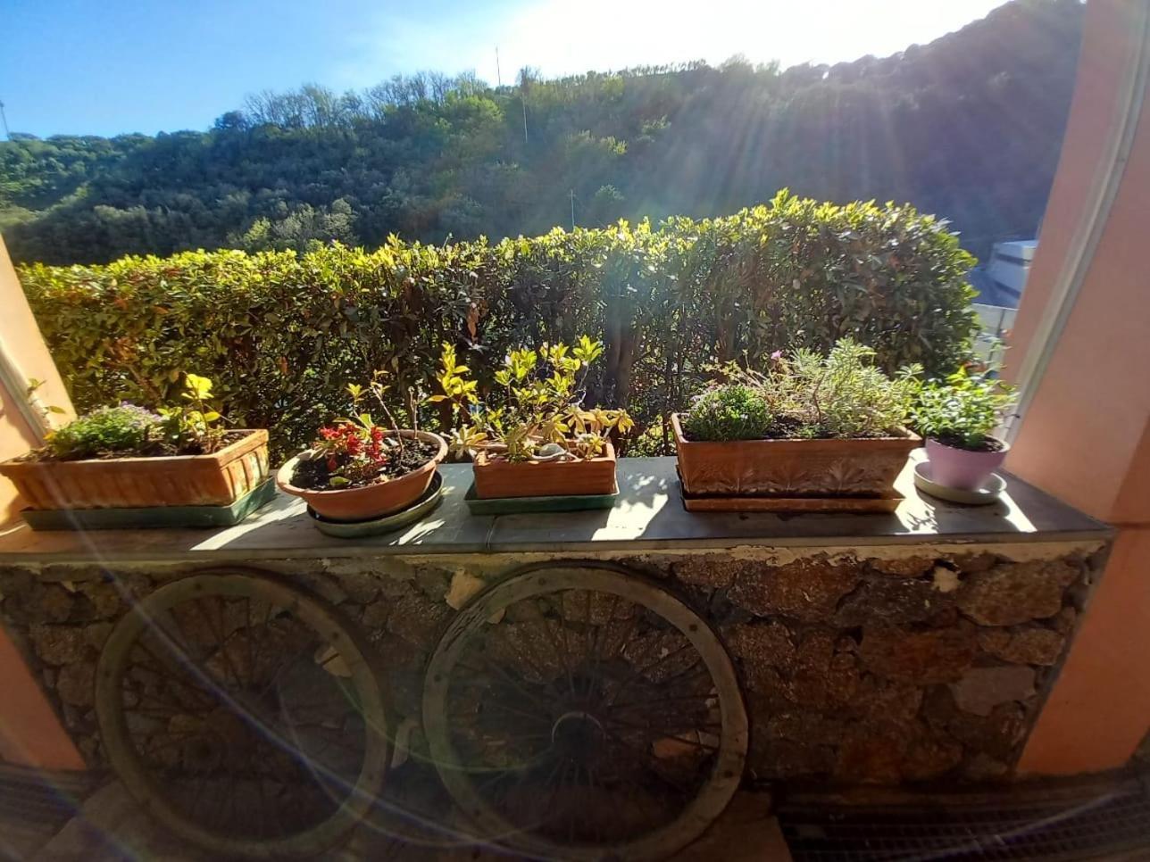 Agriturismo Cele Celle Ligure Kültér fotó