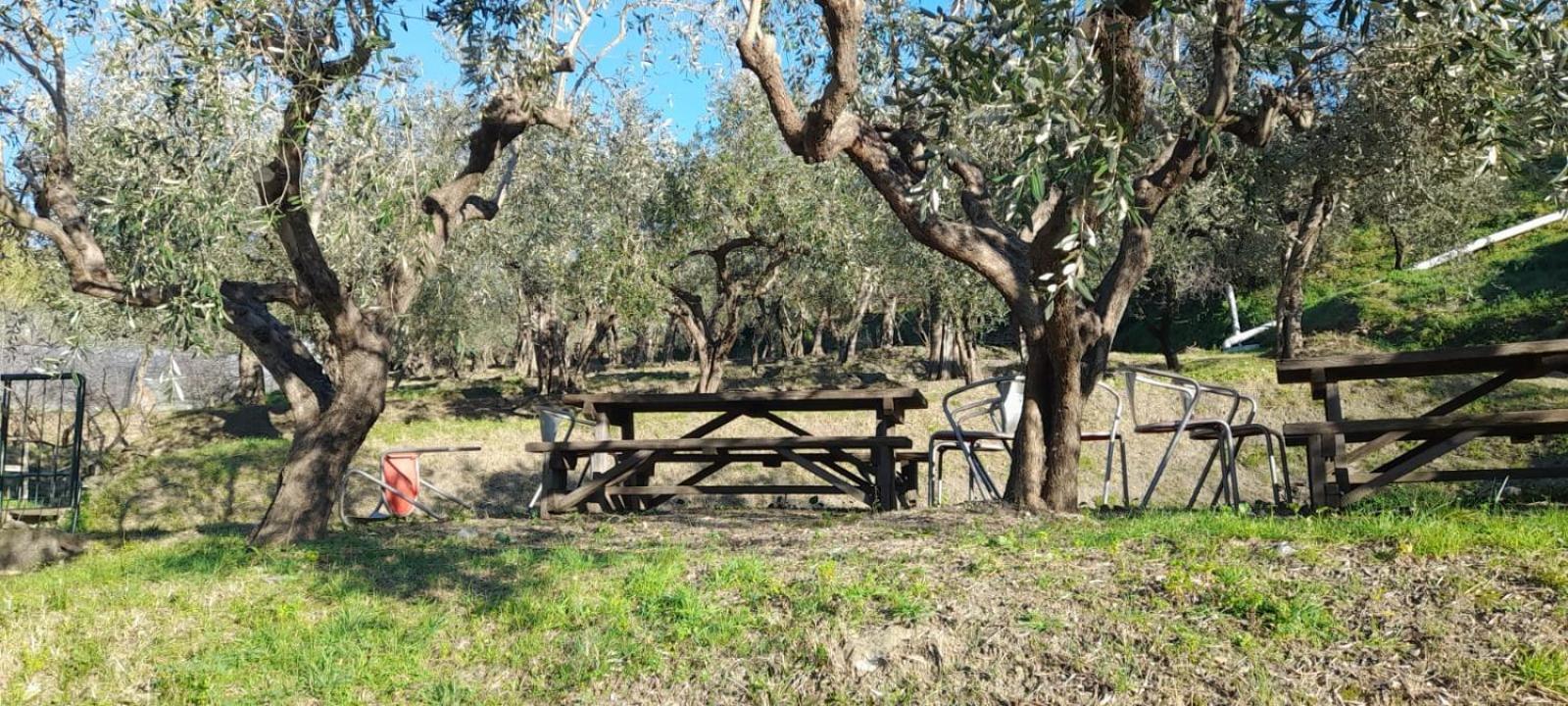 Agriturismo Cele Celle Ligure Kültér fotó