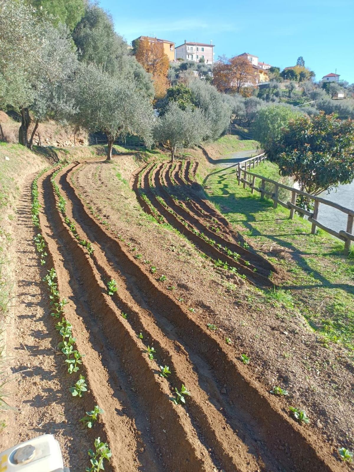 Agriturismo Cele Celle Ligure Kültér fotó