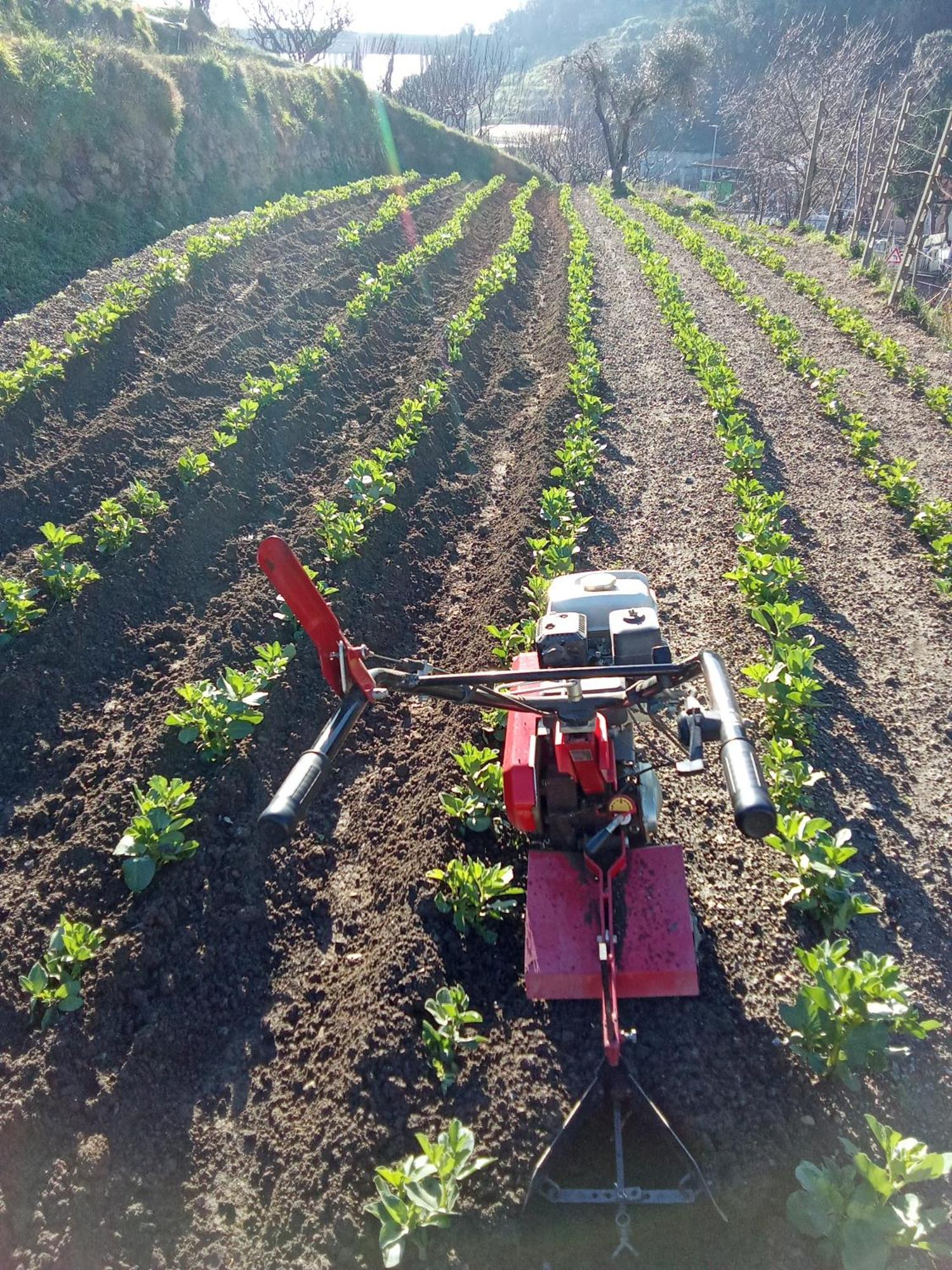 Agriturismo Cele Celle Ligure Kültér fotó