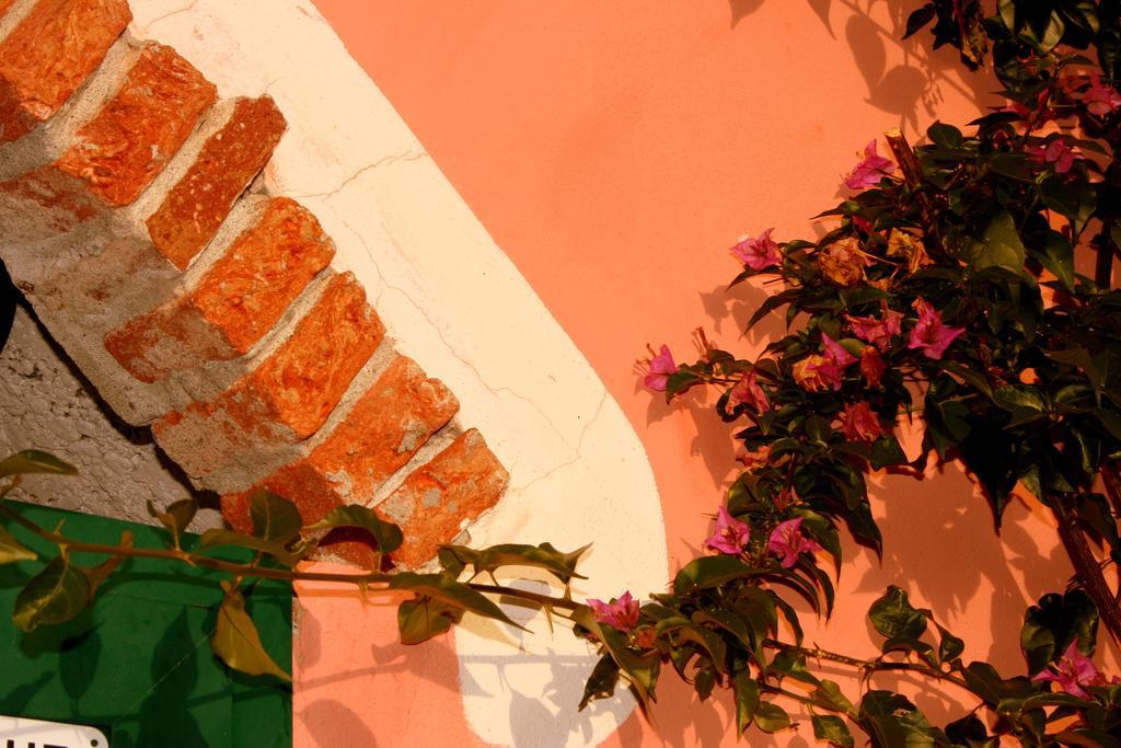 Agriturismo Cele Celle Ligure Kültér fotó